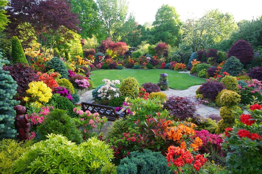 jardim grande cheio de flores