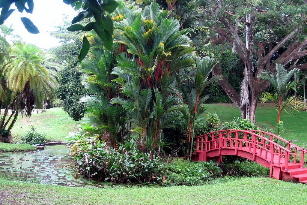 jardim grande estilo oriental