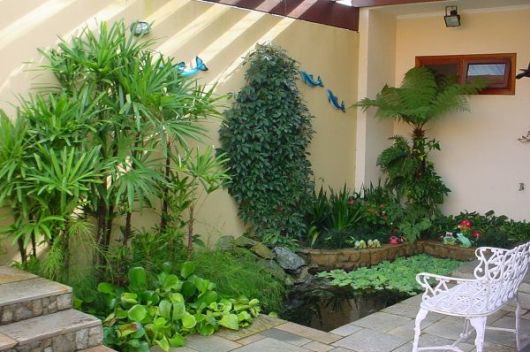 quintal com plantas e pequeno lago