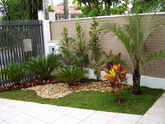 quintal simples com plantas