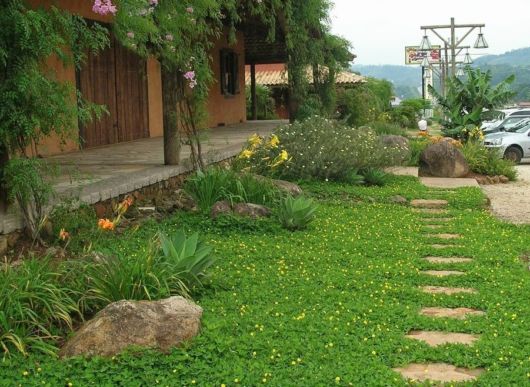 fachada de casa com grama amendoim