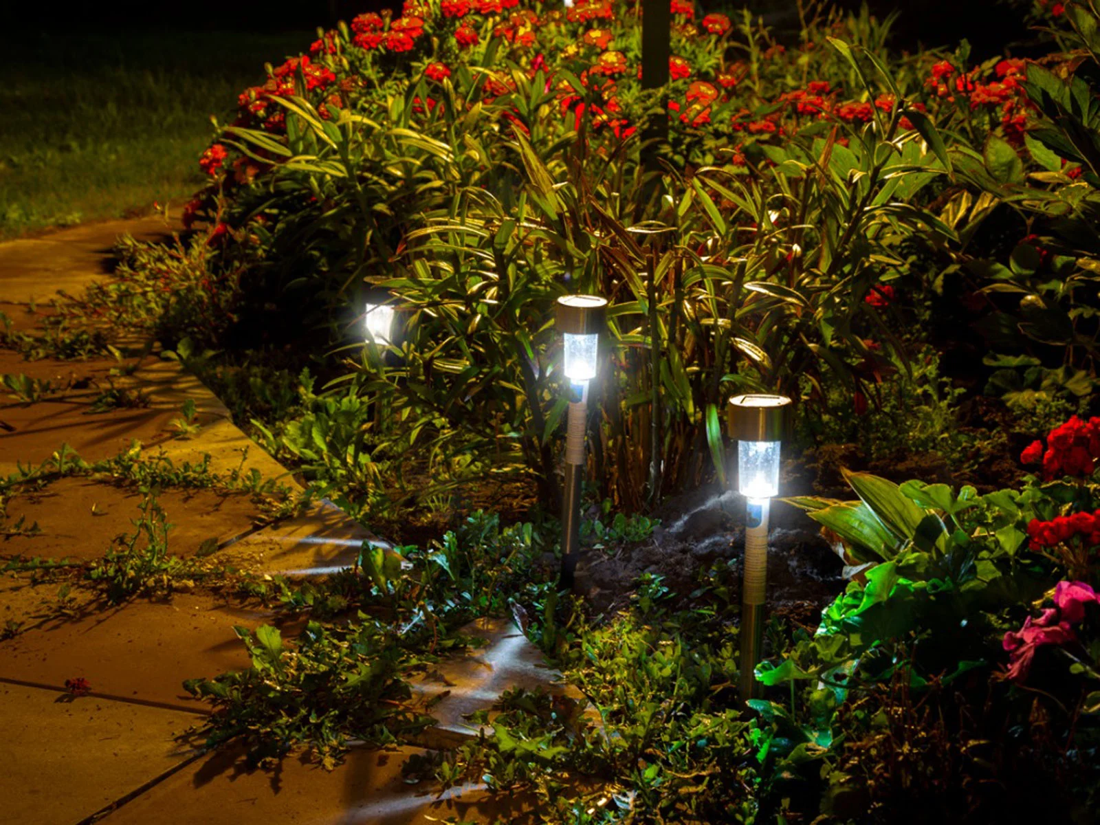 iluminação solar para jardim