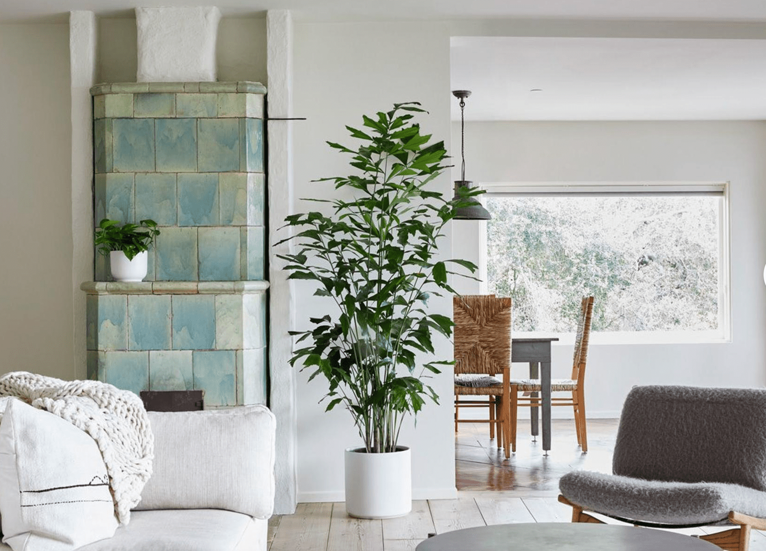 planta em vaso branco em sala de estar