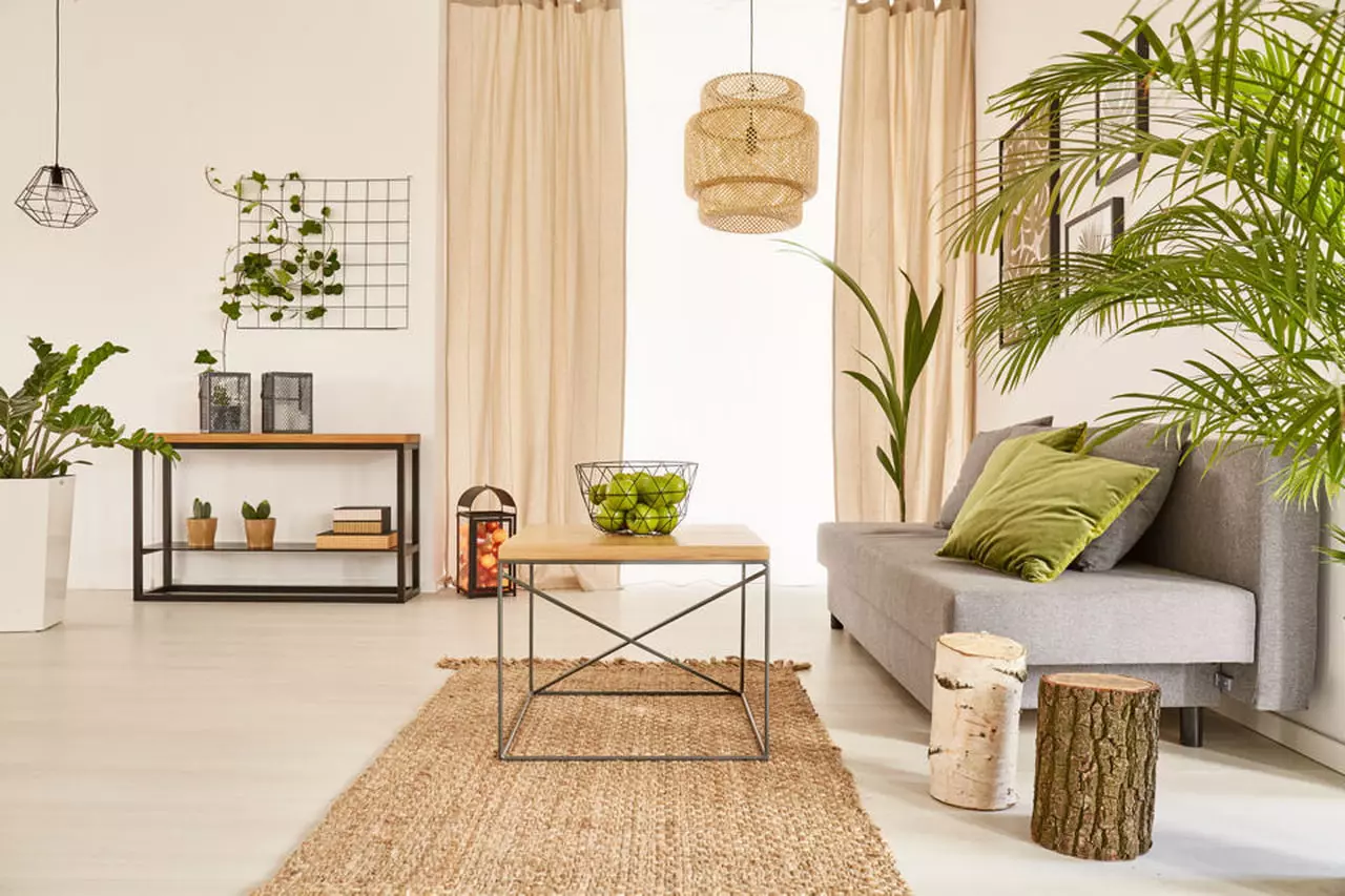 sala com plantas