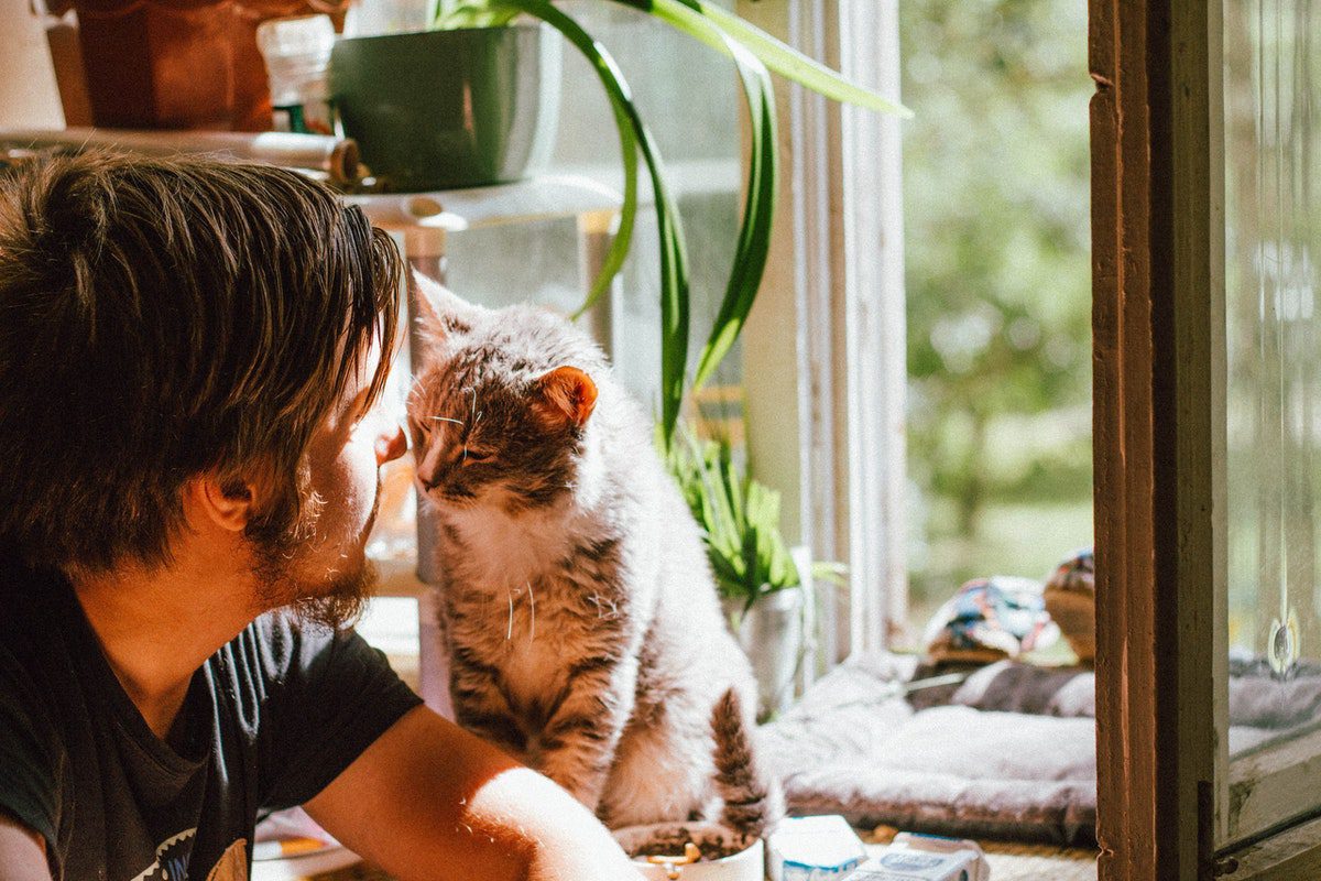 homem e gato próximos