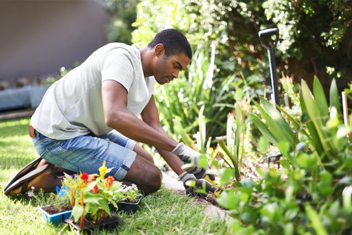 homem preparando canteiro de flores