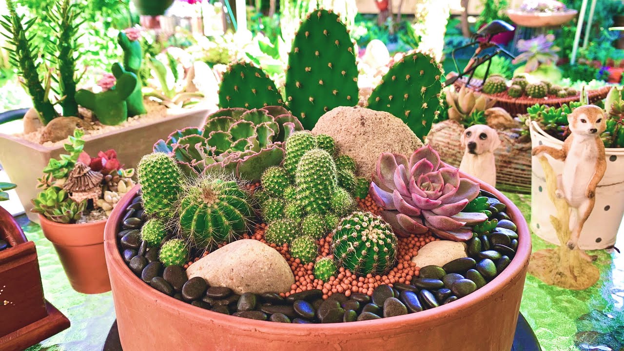 vaso com suculentas e cactos decorado com pedrinhas