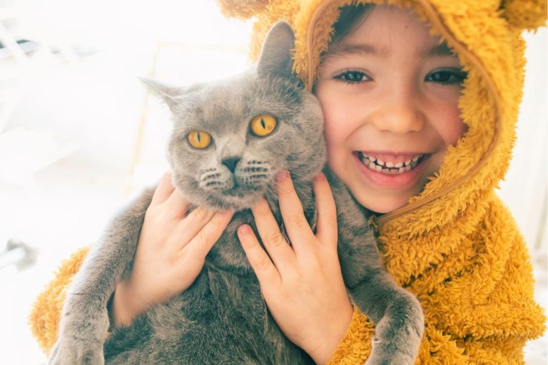 melhores raças de gato para crianças