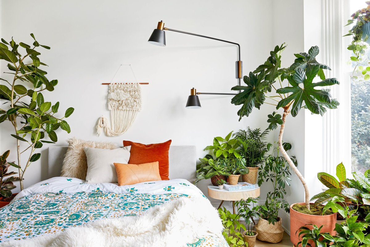 plantas para quarto