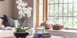 6 ideias de decoração com orquídeas: saiba os cuidados e como não errar na escolha das espécies