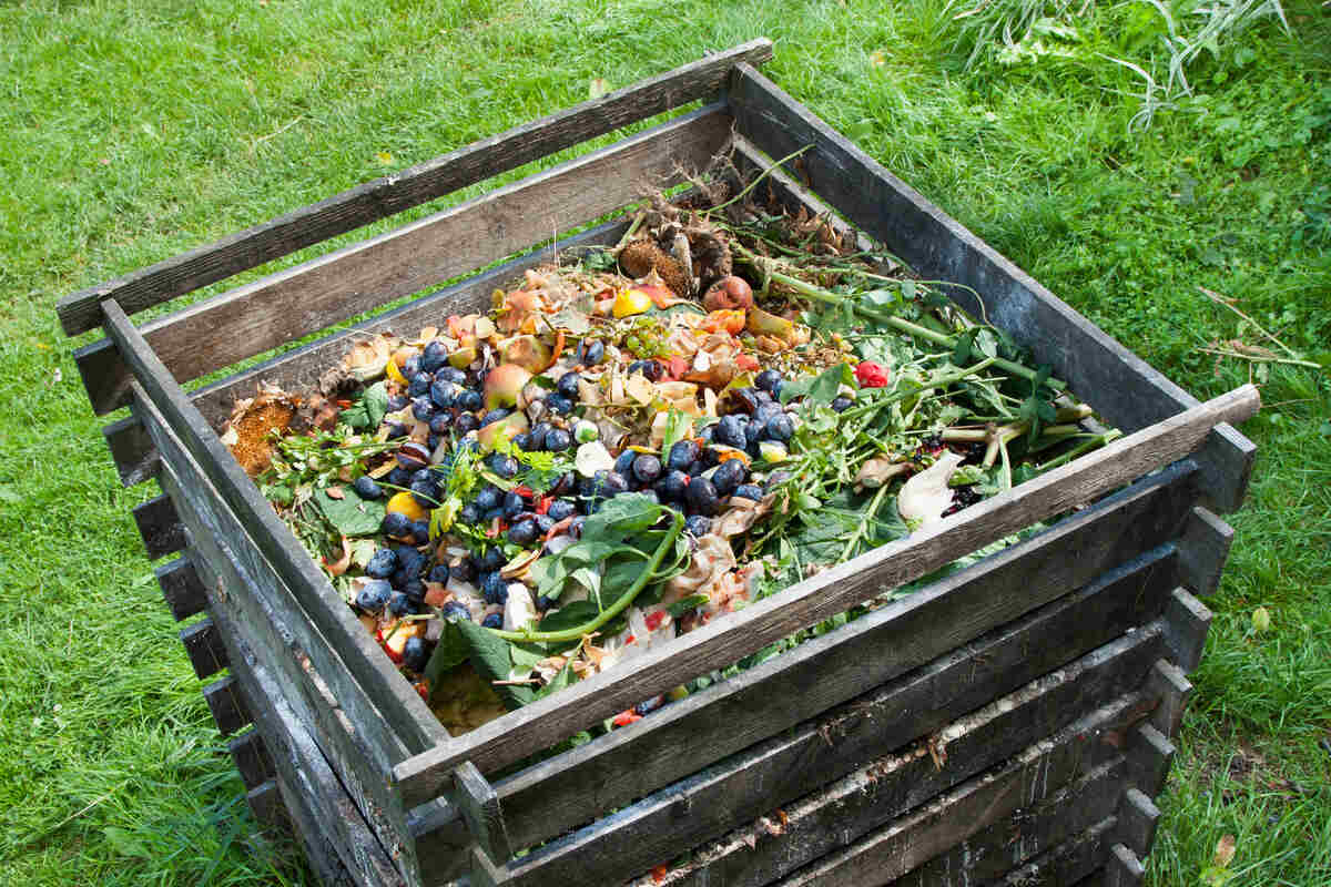 compostagem doméstica