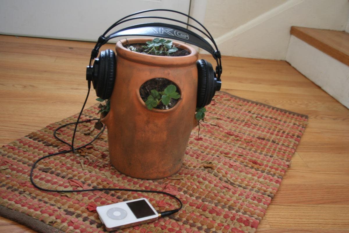 fone de ouvido em vaso de planta