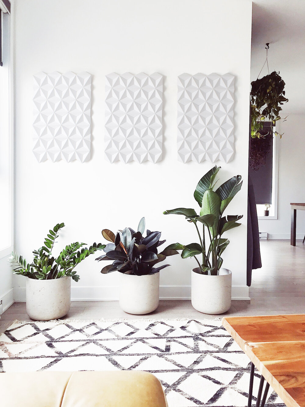 plantas e quadros em espaço branco