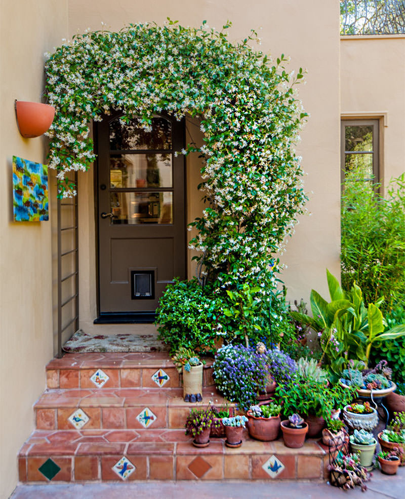 plantas em fachada da casa