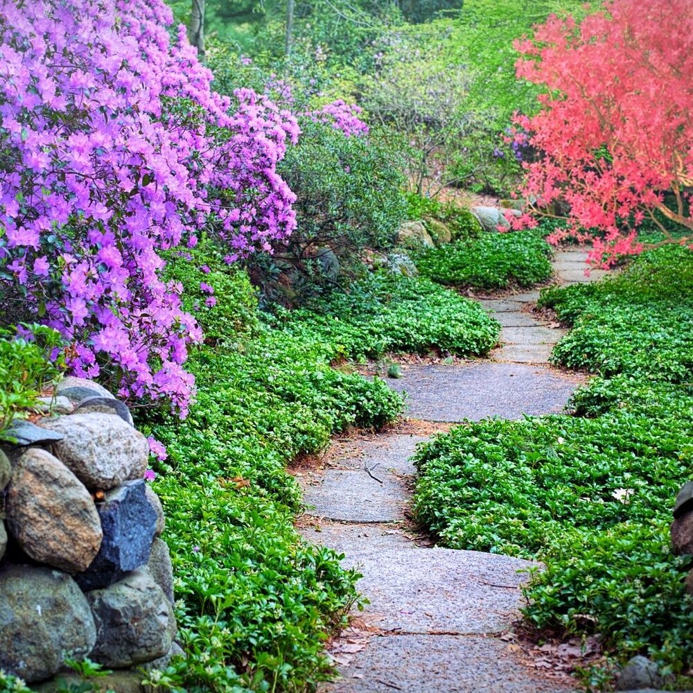 caminho de pedras em jardim