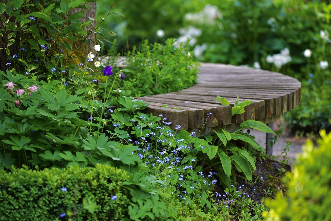 ideia de jardim terapêutico