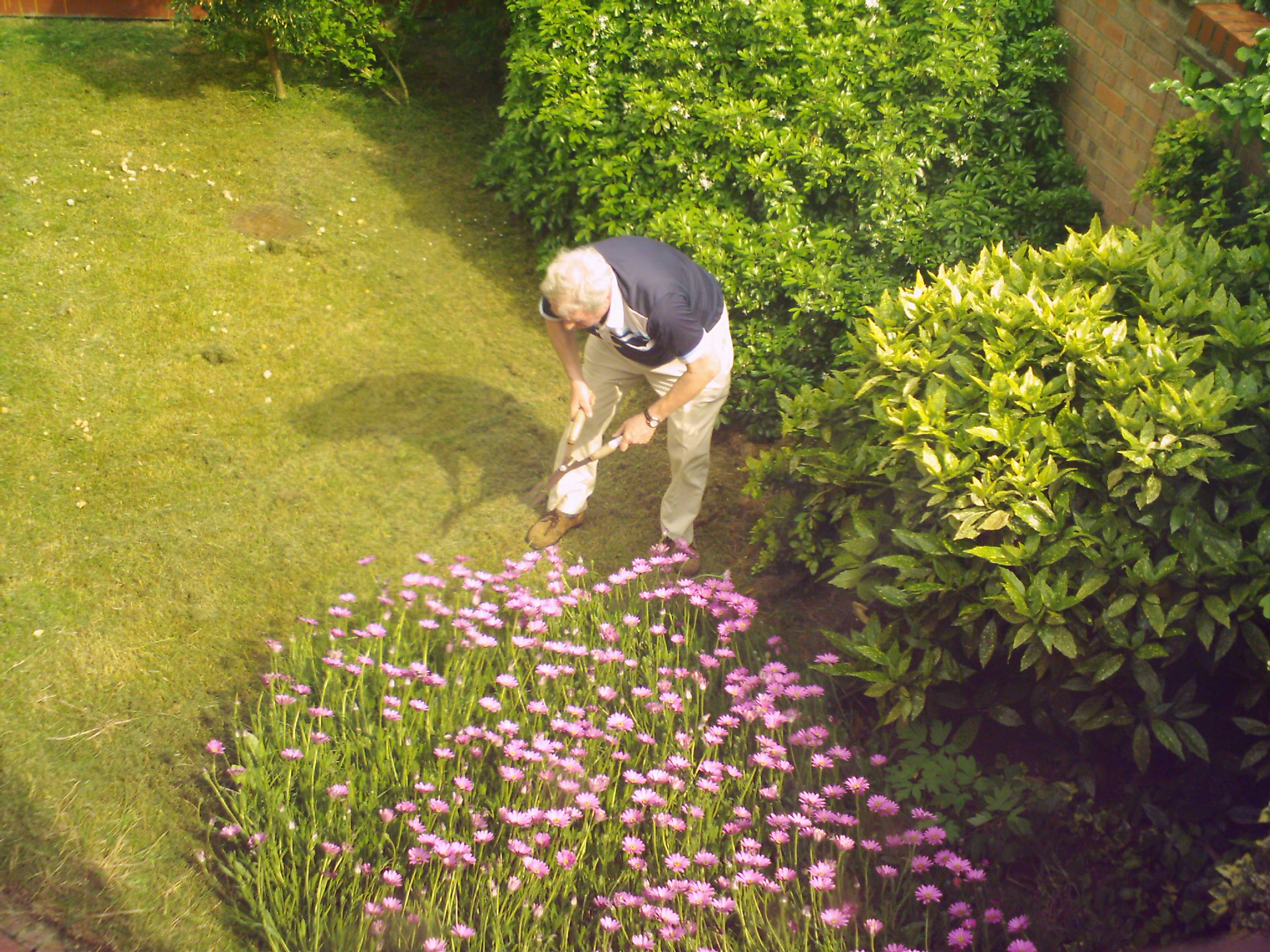 pessoa mexendo no jardim