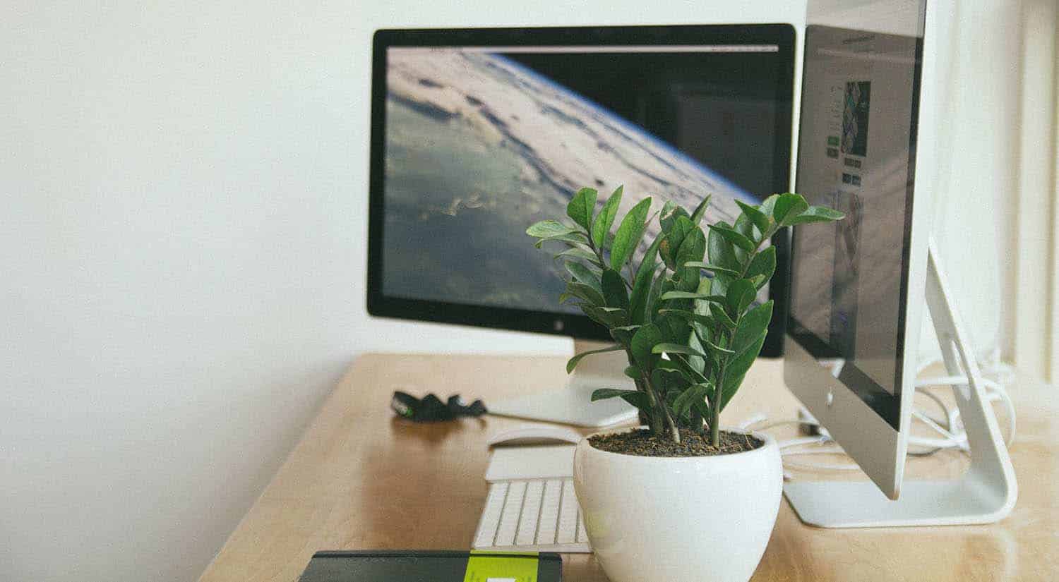 vaso de zamioculca em mesa de home office