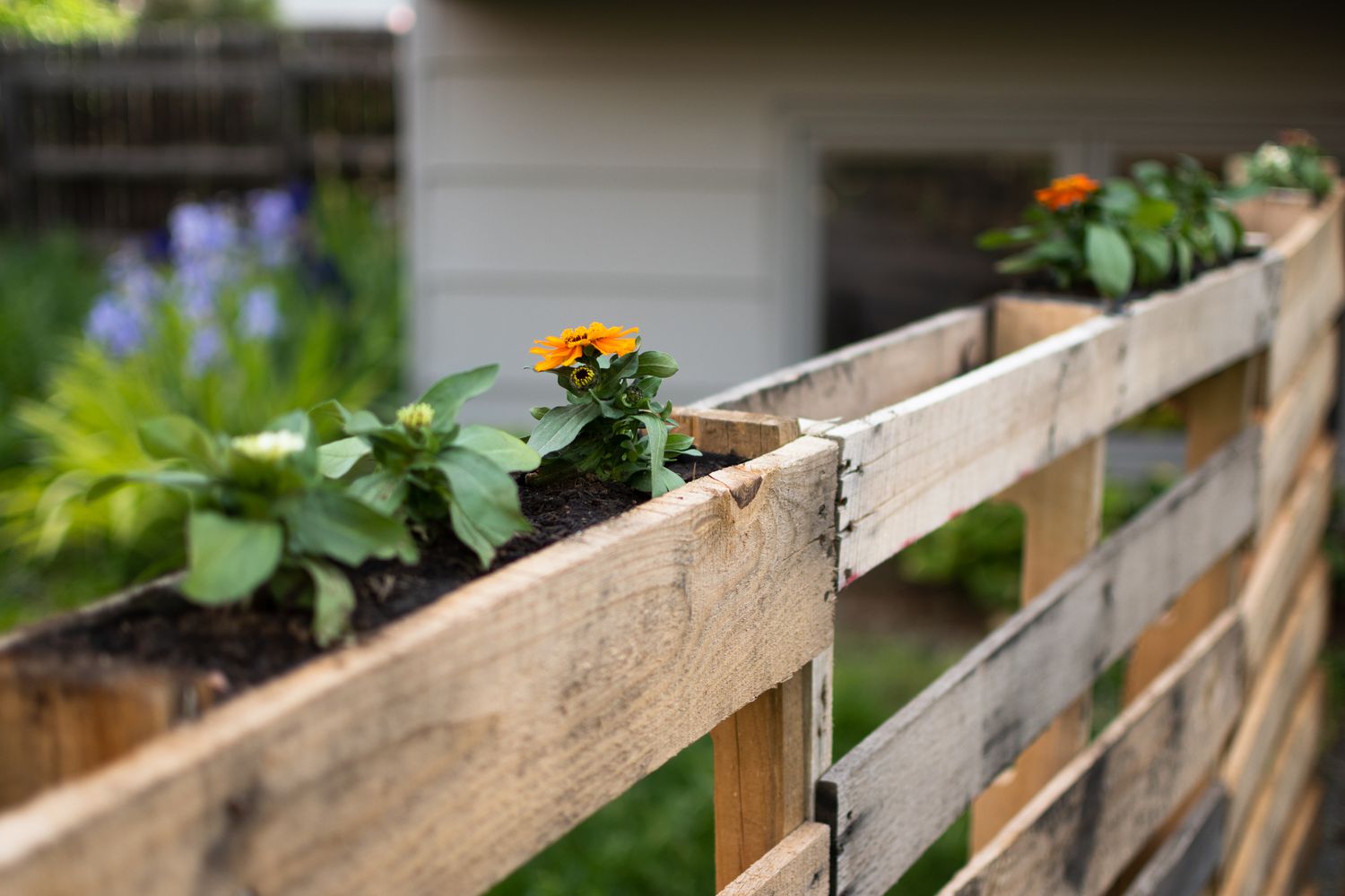 pallets para plantio de flores