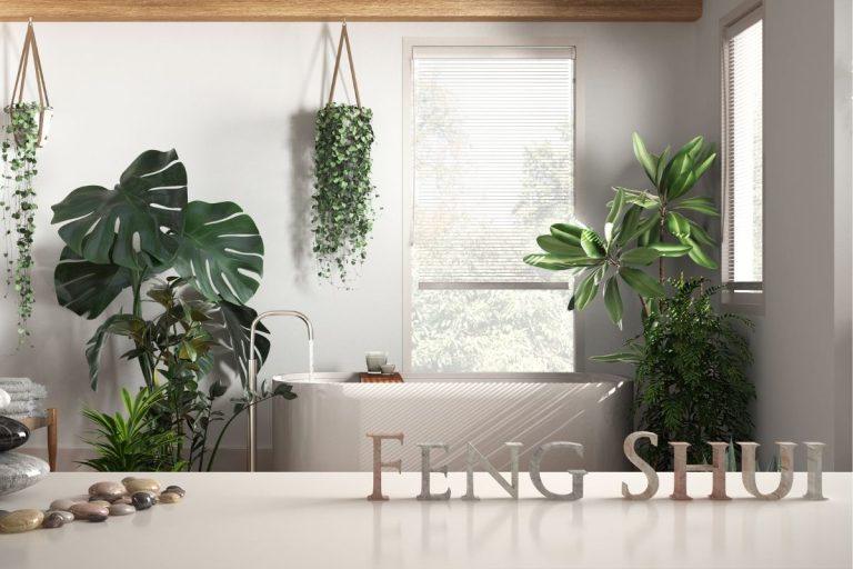 plantas que atraem dinheiro feng shui