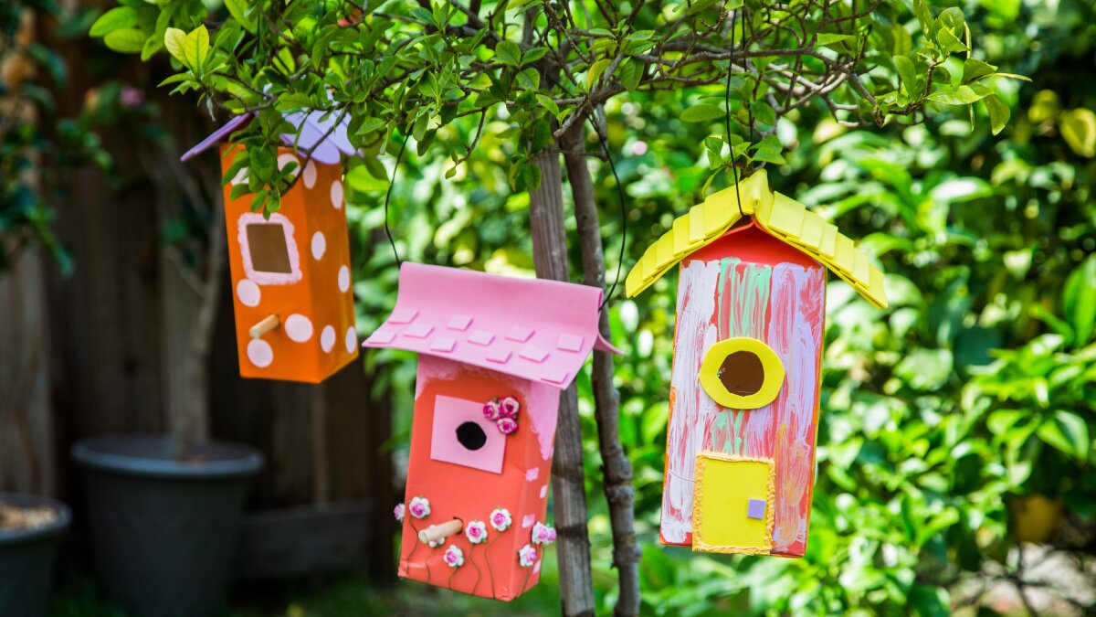 caixas de leite como casas de pássaros