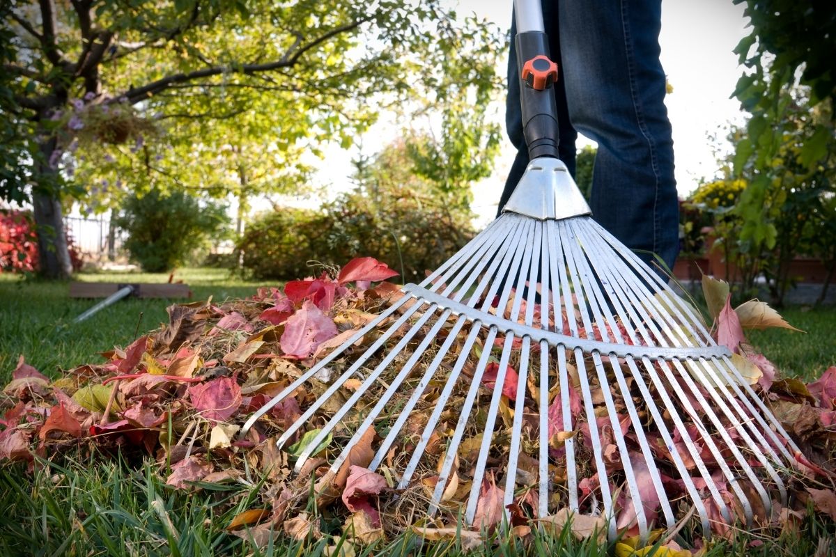 Rastelo para jardim 5 dicas para escolher o certo