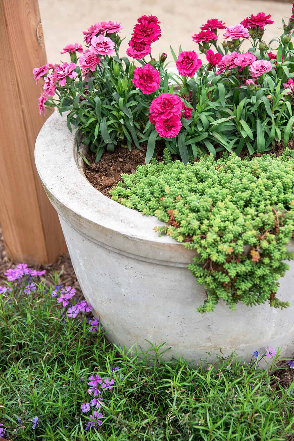 vaso com plantas em área externa