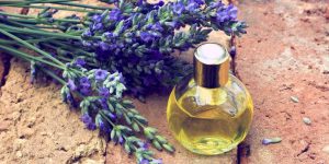 aromatizador caseiro de lavanda