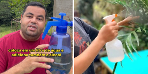 Acabe com as pragas de suas plantas com receita caseira simples