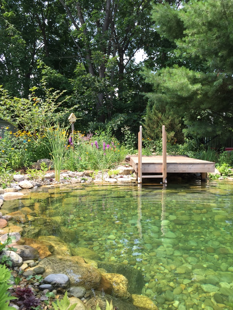 área externa com piscina biológica