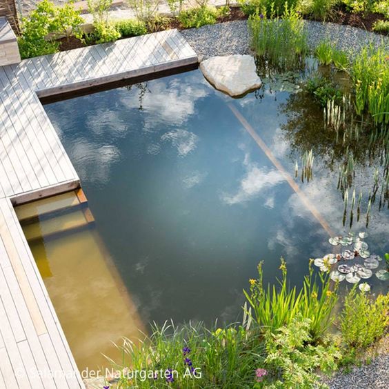 casa com piscina biológica