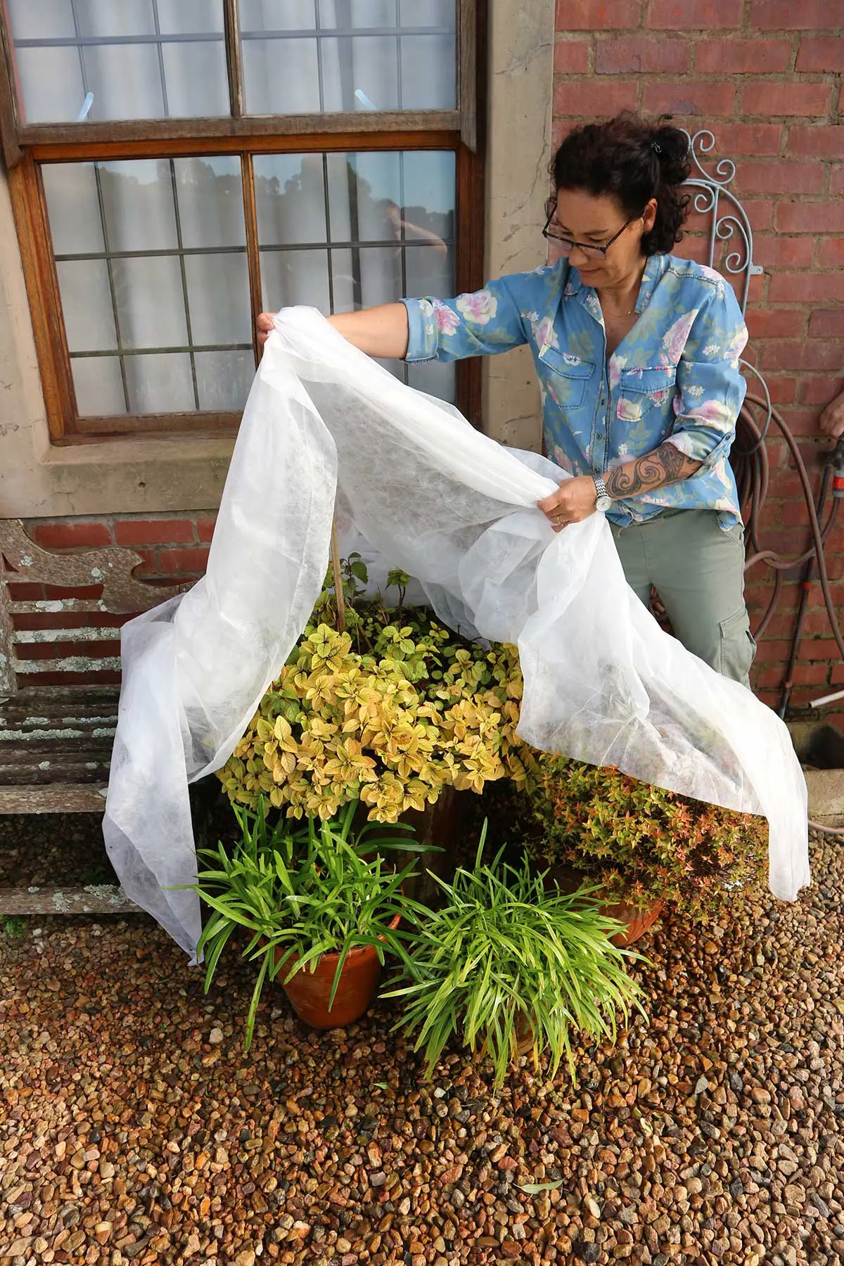 mulher protegendo plantas que ficam ao ar livre