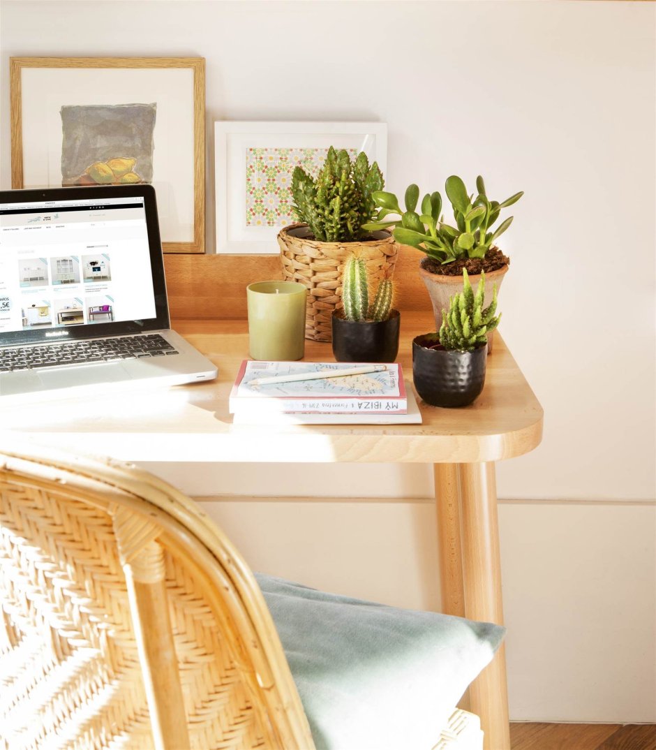 plantas em espaço home office